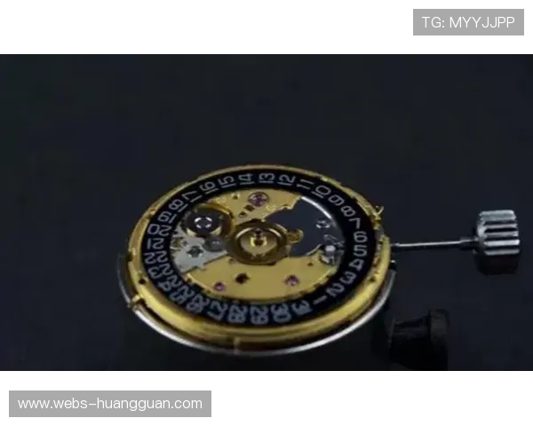 野深俱乐部打造潜水元宇宙数字奖牌兑换实体装备新模式